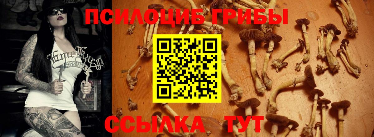 Галлюциногенные грибы GOLDEN TEACHER  Вход с VPN  Жигулёвск 